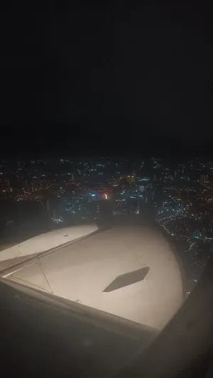 A view from the airplane